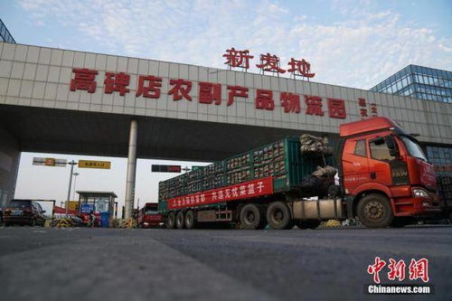 5000吨果蔬驰援北京 筑牢农副产品保供“生命线”